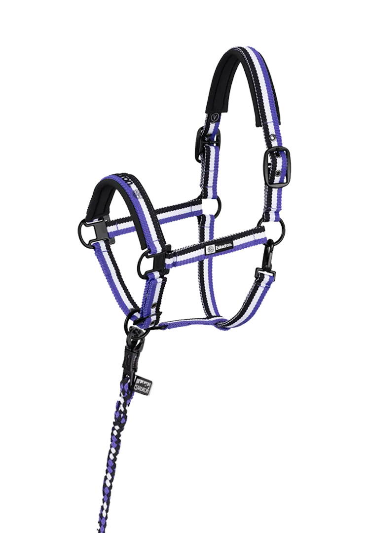Halter Set DYNAMIC 24 S/S – black-white-purple
