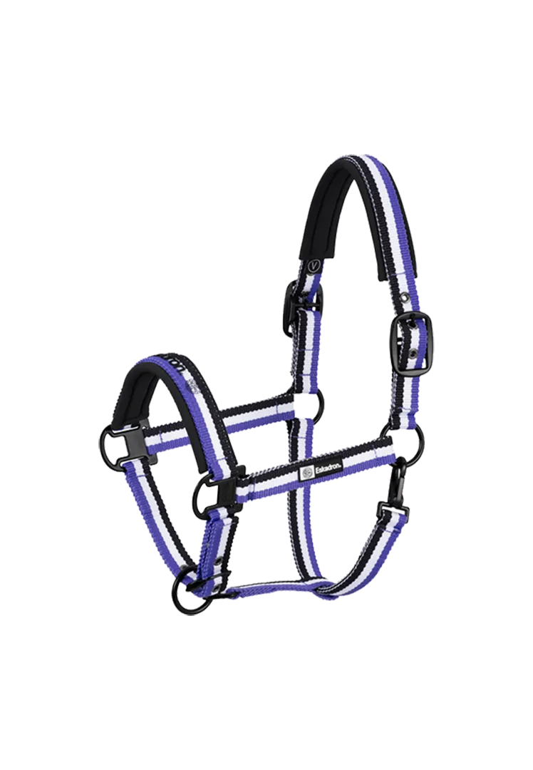 Halter Set DYNAMIC 24 S/S – black-white-purple