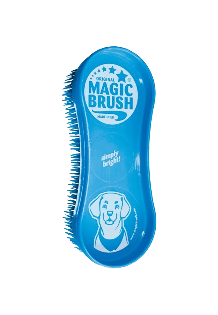 Magic Brush Dog - blue sky