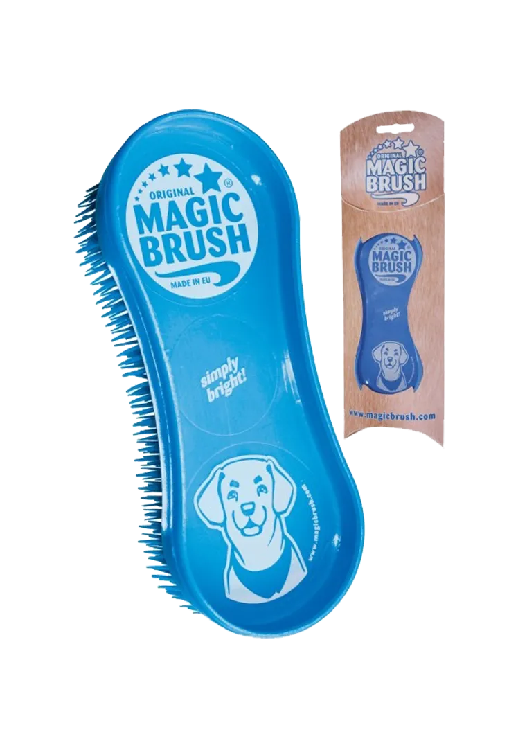 Magic Brush Dog - blue sky