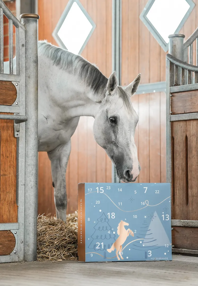 Horsebrands Der Online Shop für Reiter und Pferd Horsebrands Dein