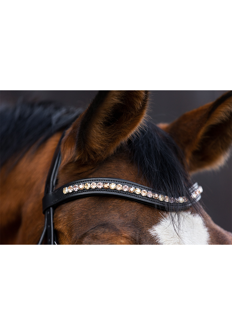 Browband Crystal Spring