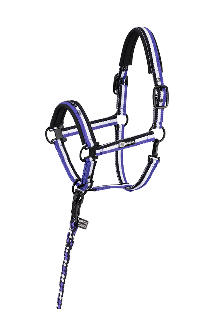 Halter Set DYNAMIC 24 S/S – black-white-purple