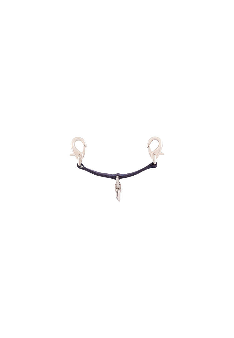 Longierbrille