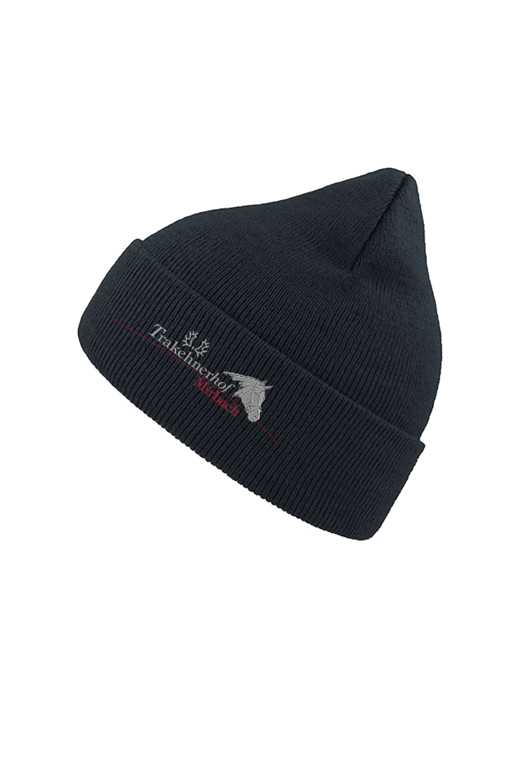 Beanie  - navy